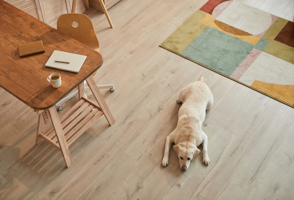 Pet Owners in Vancouver: How to Choose Hardwood Floors That Actually Hold Up